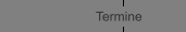 Termine