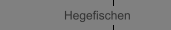 Hegefischen